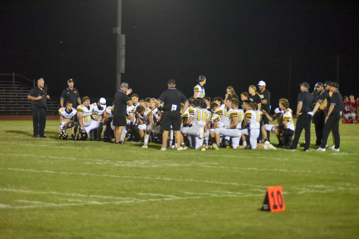 Owls Stomp Past Cardinals 33 - 14