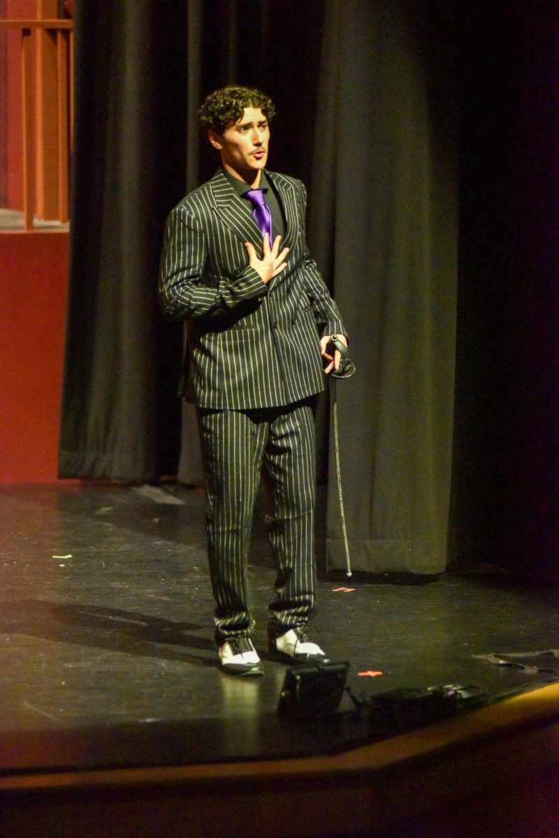 Arthur Boyle as Gomez Addams
